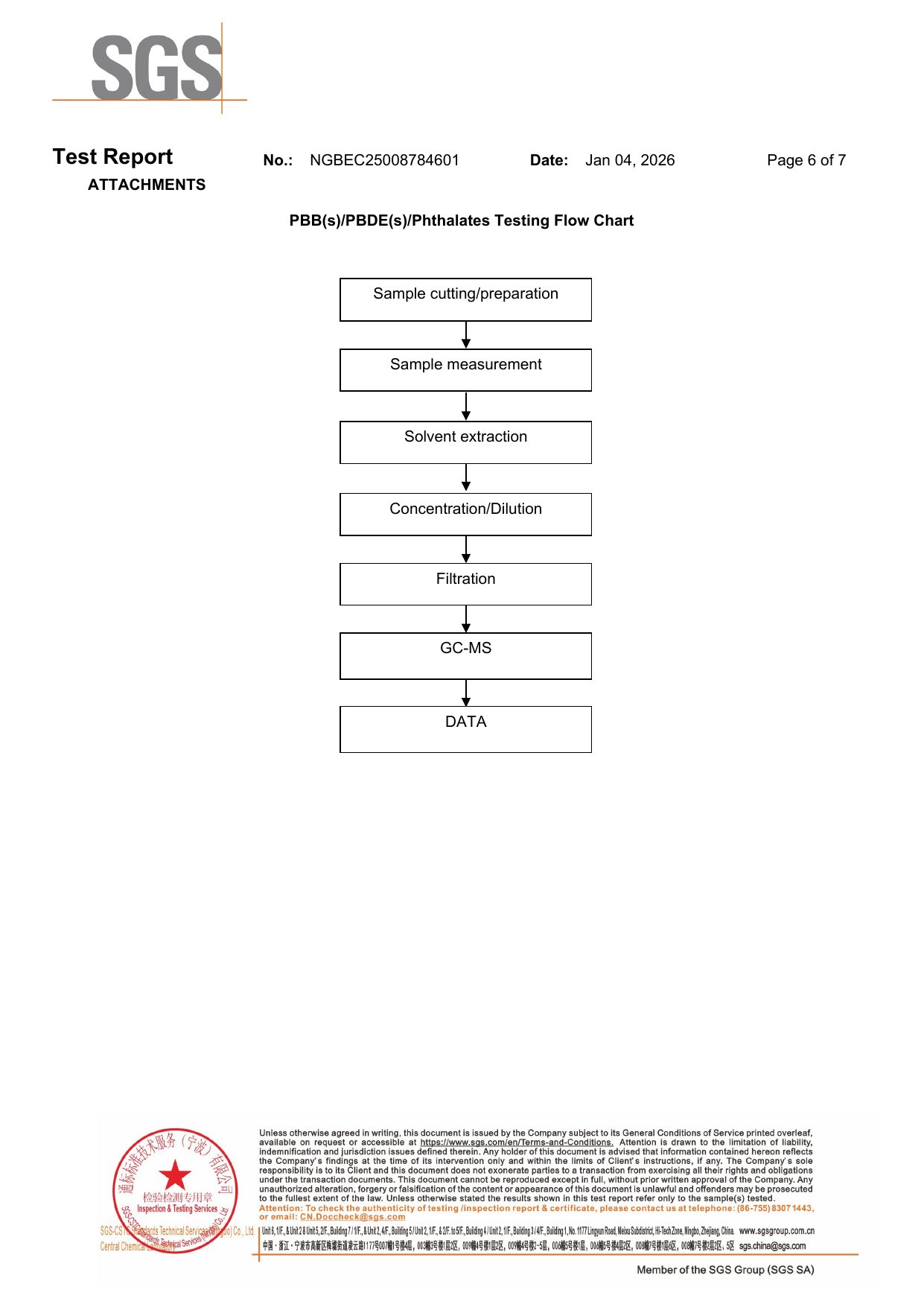2026 SGS Report (RoHS) report page 6 of 7